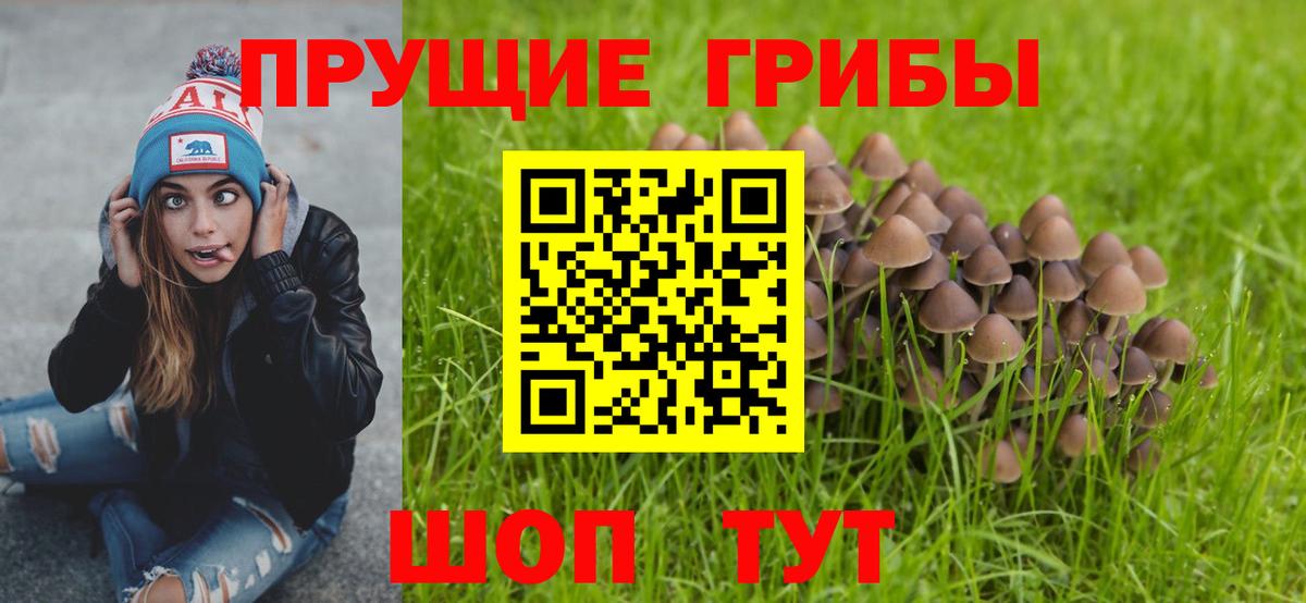 Дивногорск  Галлюциногенные грибы Magic Shrooms  Вход с VPN 